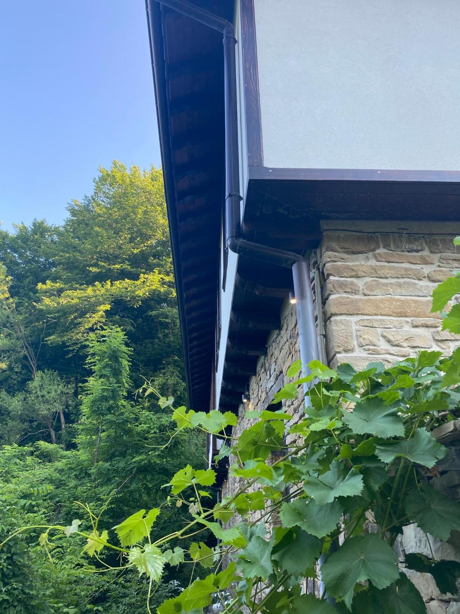 Verta House Triavna Exterior foto