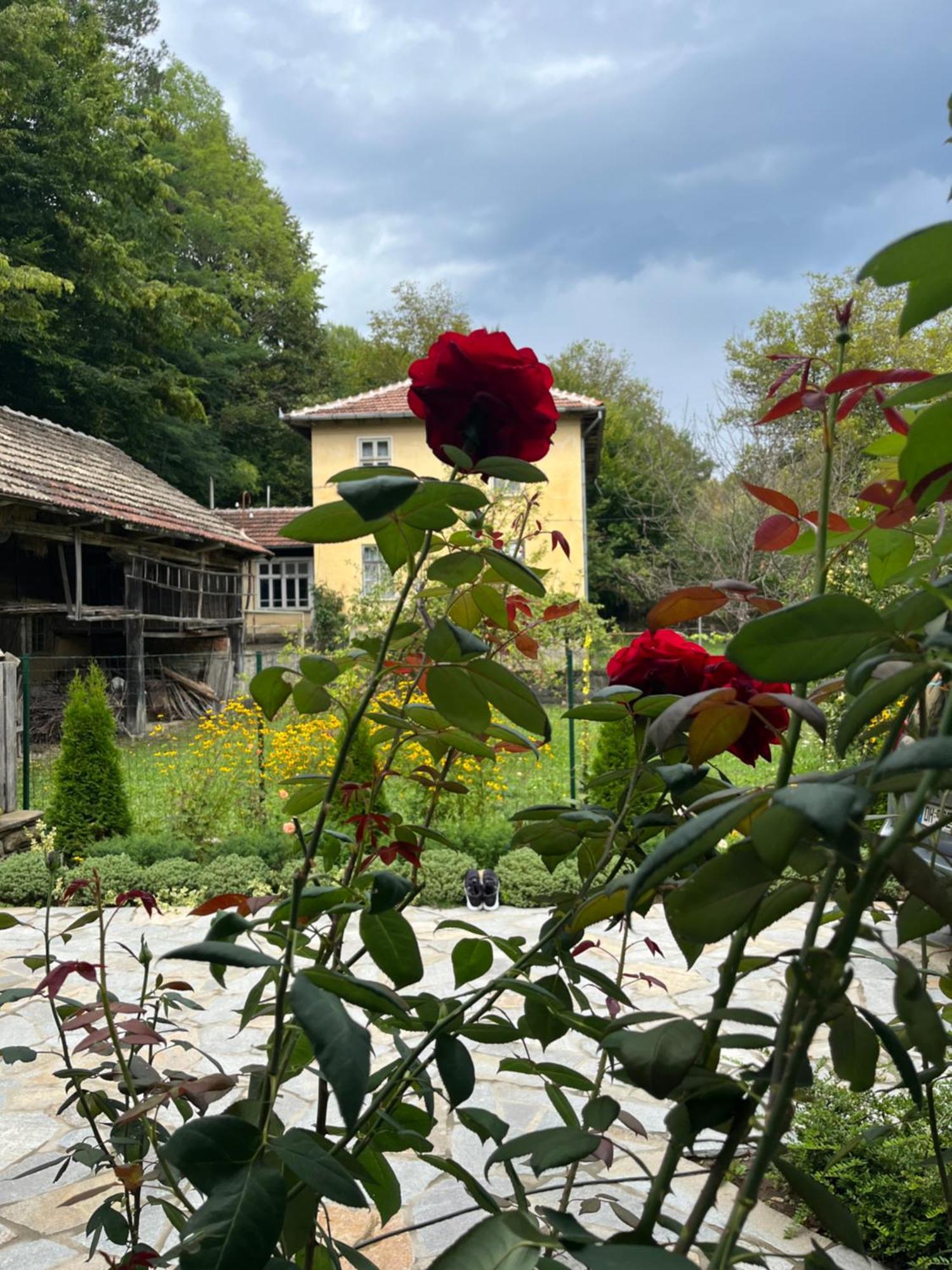 Verta House Triavna Exterior foto